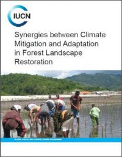 Synergies between climate mitigation and adaptation in forest landscape restoration